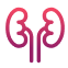 Nephrology